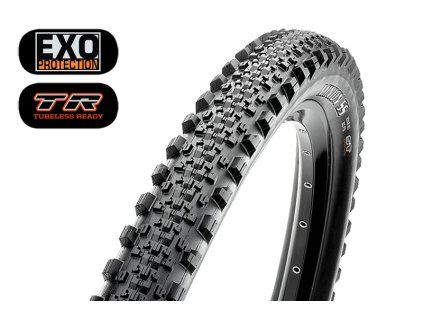 Plášt MTB Maxxis Minion SS 29×2.30 EXO/TR